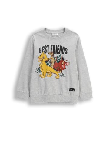 Coccodrillo Langarmshirt in grau