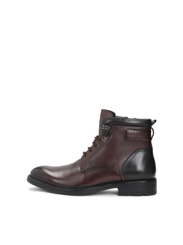 Kazar Chelsea Boots FABRIZIO in Braun