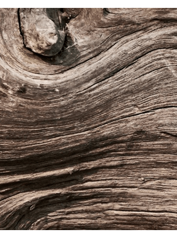 Yodeyma Eau de Parfum Oseus 100 ml