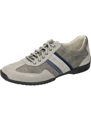 Pius Gabor Schnürschuhe in midgrey/dk.grey