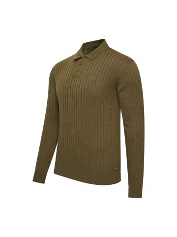 Cappuccino Italia Pullover Massa Knit Polo in Grun