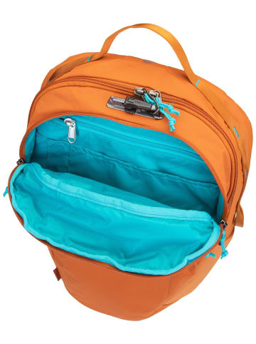 Pacsafe Rucksack ECO 25L in Canyon