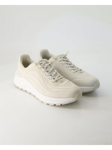 Tenhaag Sneaker low in Beige