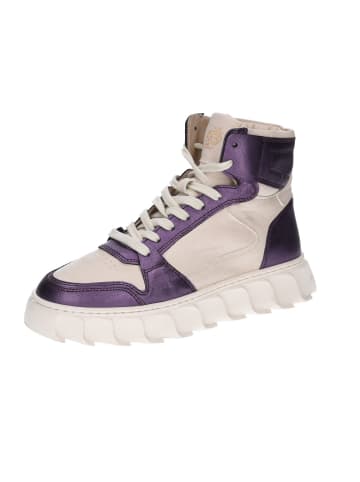 Apple of Eden Schnürschuh in lila