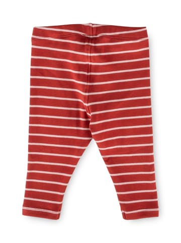 Sigikid Leggings in rot
