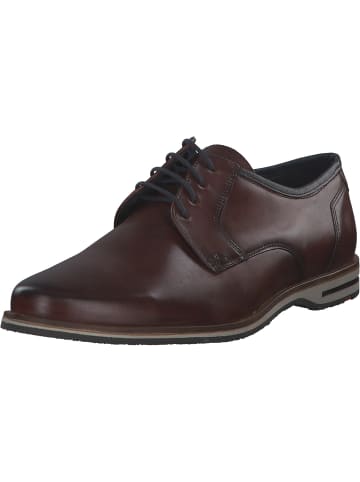 LLOYD Business-Schnürschuhe in 3 - BRANDY/MARINE