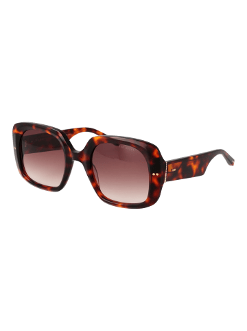 Ted Baker Frauen Sonnenbrille Quadratisch Braun