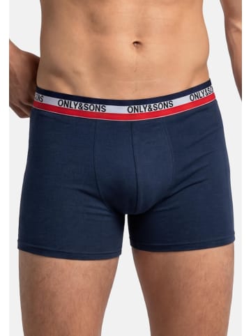 ONLY & SONS Long Short / Pant ONSFITZ SOLID BOXER in Grau / blau