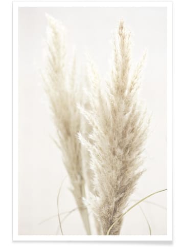 Juniqe Poster "Pampas Reed 02" in Cremeweiß & Weiß