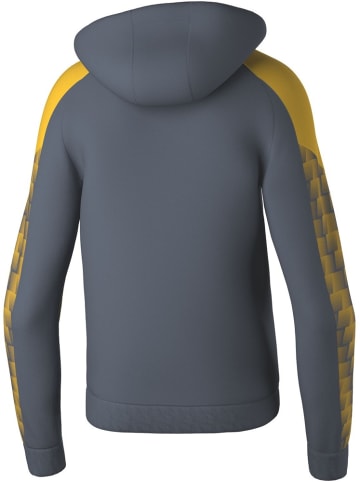 erima Trainingsjacke "Evo Star Kapuzensweat" in Grau