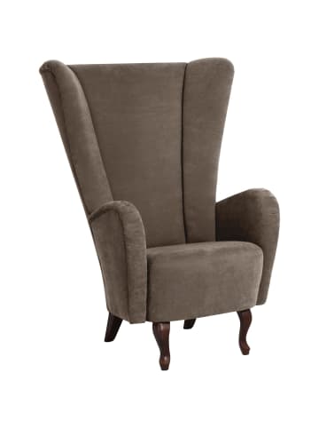 others HOCHLEHNSESSEL Kailey Bezug Velourstoff Buche nussbaum dunkel / sahara