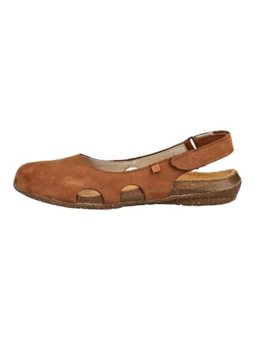 El Naturalista Ballerinas Wood