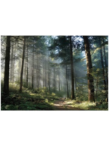 WALLARENA Fototapete Wald in Grün