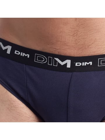 DIM Slip in Multicolored