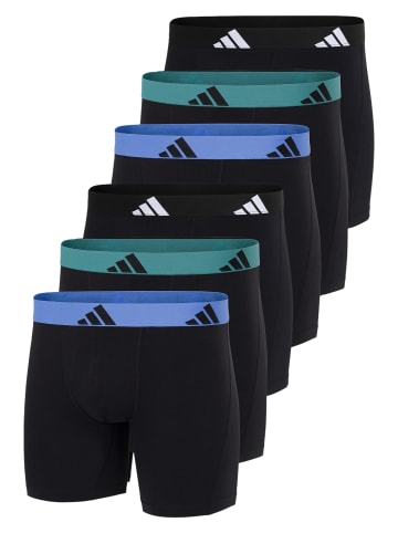 Adidas Sportswear Long Short / Pant Active Flex Cotton in Schwarz / grün / blau