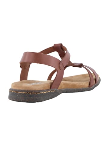 Josef Seibel Sandalen in Braun