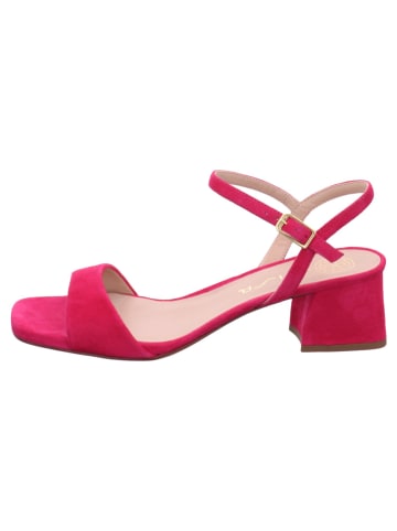 Unisa Damensandalette elegant  bis 45 mm Absatz  in  Pink