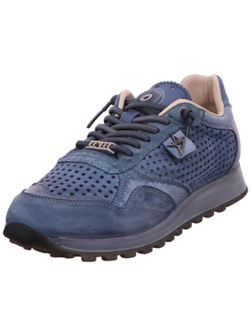 Cetti Sneaker Low in blau