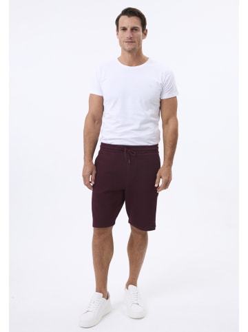 Felix Hardy Jogger Short in Bordeaux
