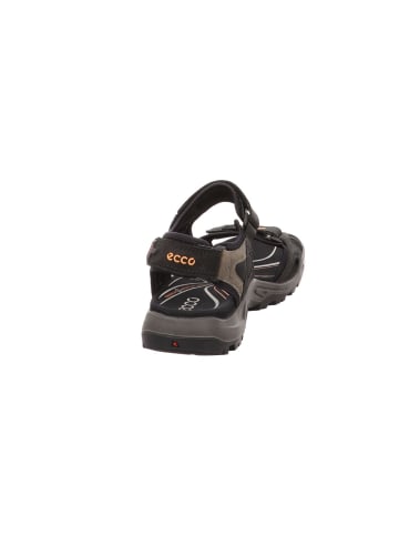 Ecco Outdoorsandalen Offroad in black/mole/blac