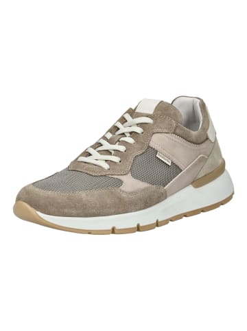 Nero Giardini Sneaker in Braun