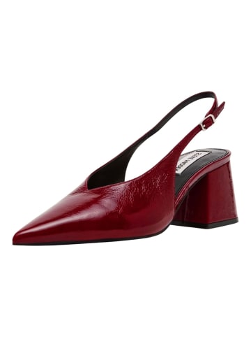 Steve Madden Pumps in Weinrot