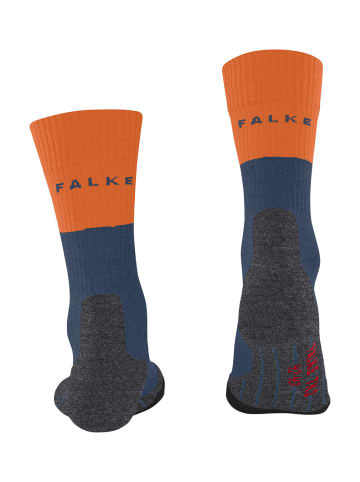 Falke TK2 Explore Trekking Socken in Enzian