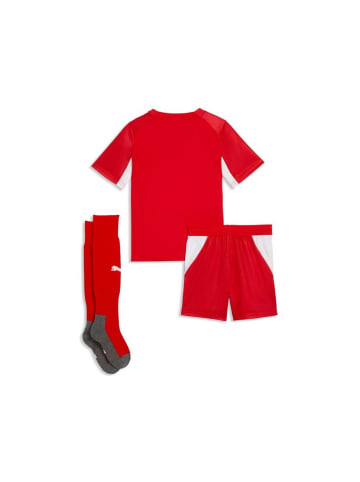 Puma Kinder Trainingsanzug "Sfv Home Minikit" in Rot
