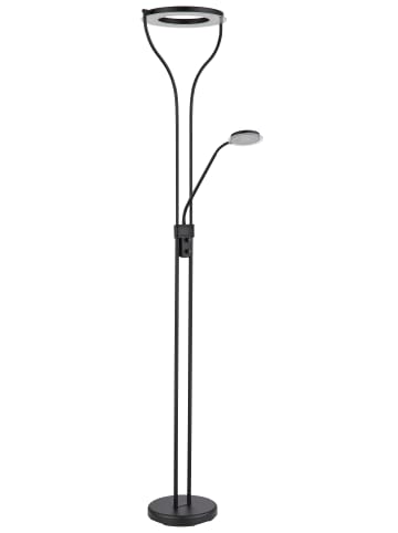 Globo lighting Deckenfluter "EBRO" in black