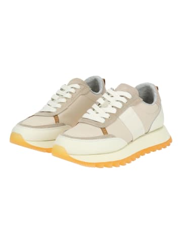 GANT Footwear Sneaker in Taupe