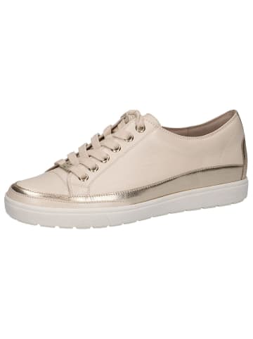 Caprice Sneaker in CREAM COMB