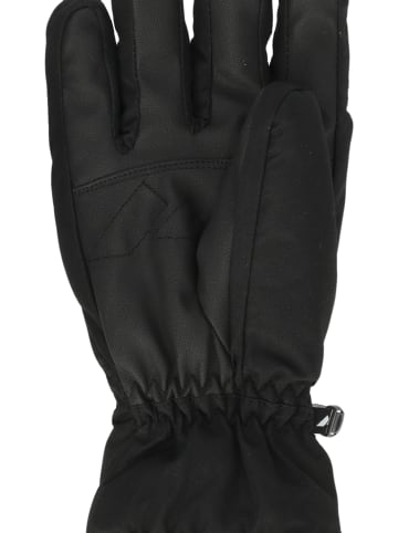 Zanier Handschuhe Trysil GTX Skiglove in ZA2000 Black