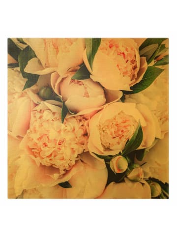 WALLART Leinwandbild Gold - Rosa Pfingstrosen mit Blättern in Rosa
