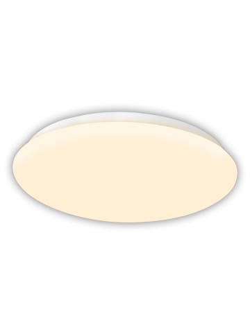 näve LED Deckenleuchte "MESA" in weiß - (L)28 cm x (B)28 cm x (H)6.5 cm - EEK F