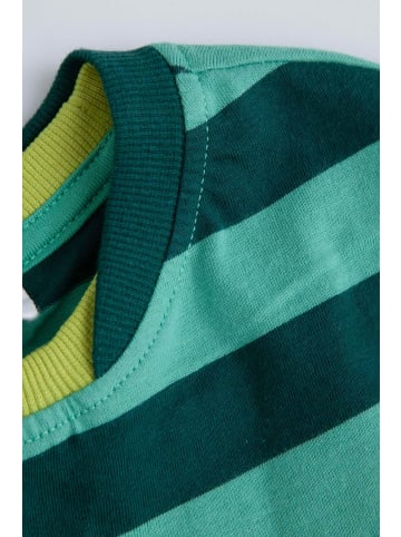 Coccodrillo Langarmshirt aus Baumwolle in grün