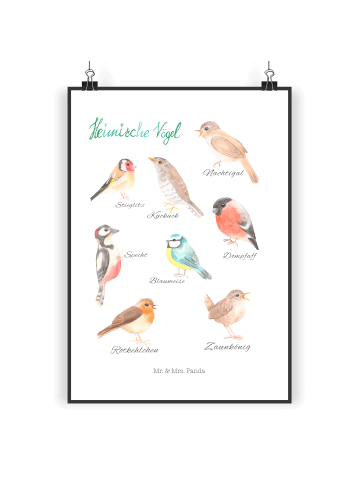 Mr. & Mrs. Panda Bild Heimische Vögel mit Spruch in Bunt