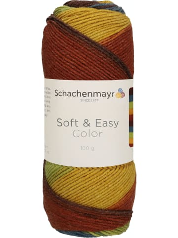 Schachenmayr since 1822 Handstrickgarne Soft & Easy Color, 100g in Earth Color