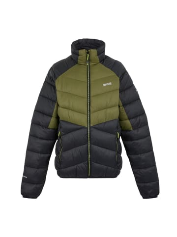 Regatta Steppjacke Dalent in gruen