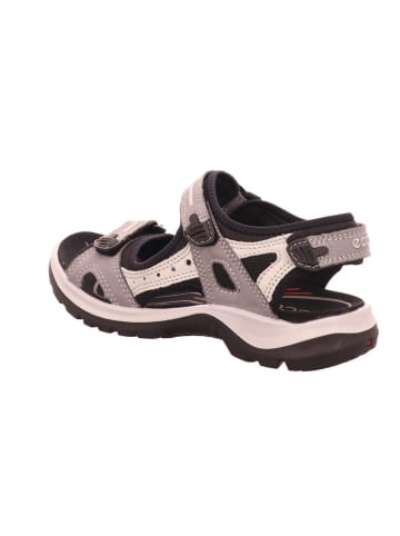 Ecco Outdoorschuh in grau