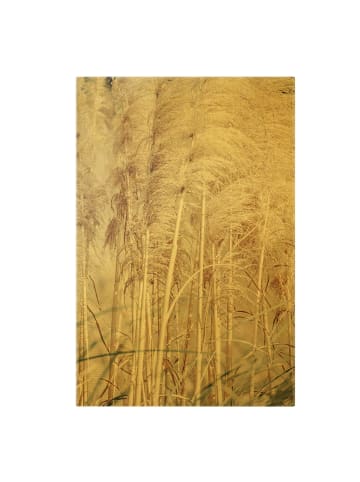 WALLART Leinwandbild Gold - Warmes Pampasgras im Sommer in Creme-Beige