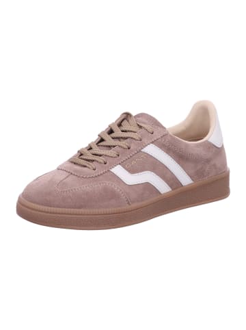 Gant Sneaker Low in braun