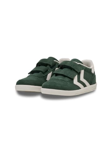 Hummel Klettverschluss Sneaker Victory Suede Lebensstil Kinder in PINENEEDLE