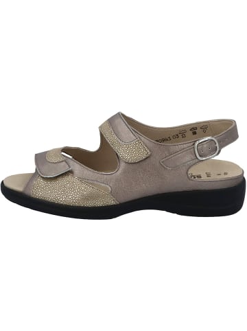 Solidus Sandalen für Damen in taupe