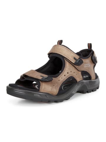 Ecco Outdoorschuh in braun