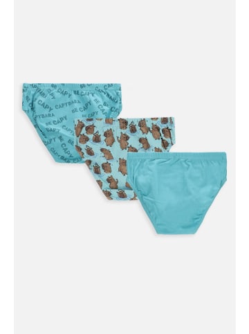 Coccodrillo Slip für Jungen in bunt