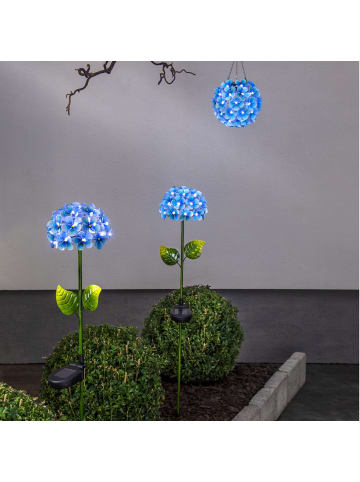 STAR Trading LED Solar Gartenstecker Blume Hortensie in blau - H: 77cm