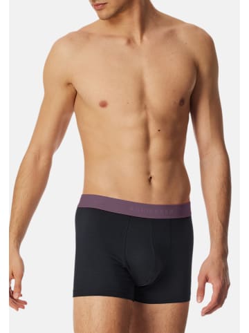 Schiesser Retro Short / Pant 95/5 Cotton in Schwarz