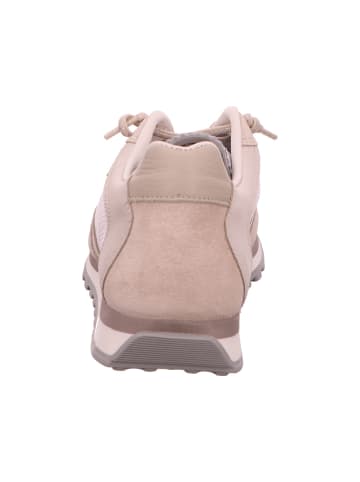 Cetti Sneaker in beige