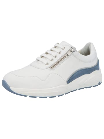 Solidus Damen- Schnürschuhe Kea - Weite K in Bunt