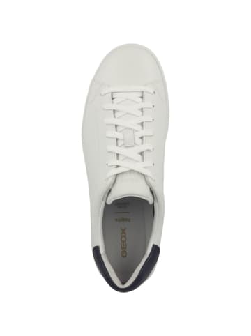 Geox Sneaker low U Spherica Ecub-1 A in weiss